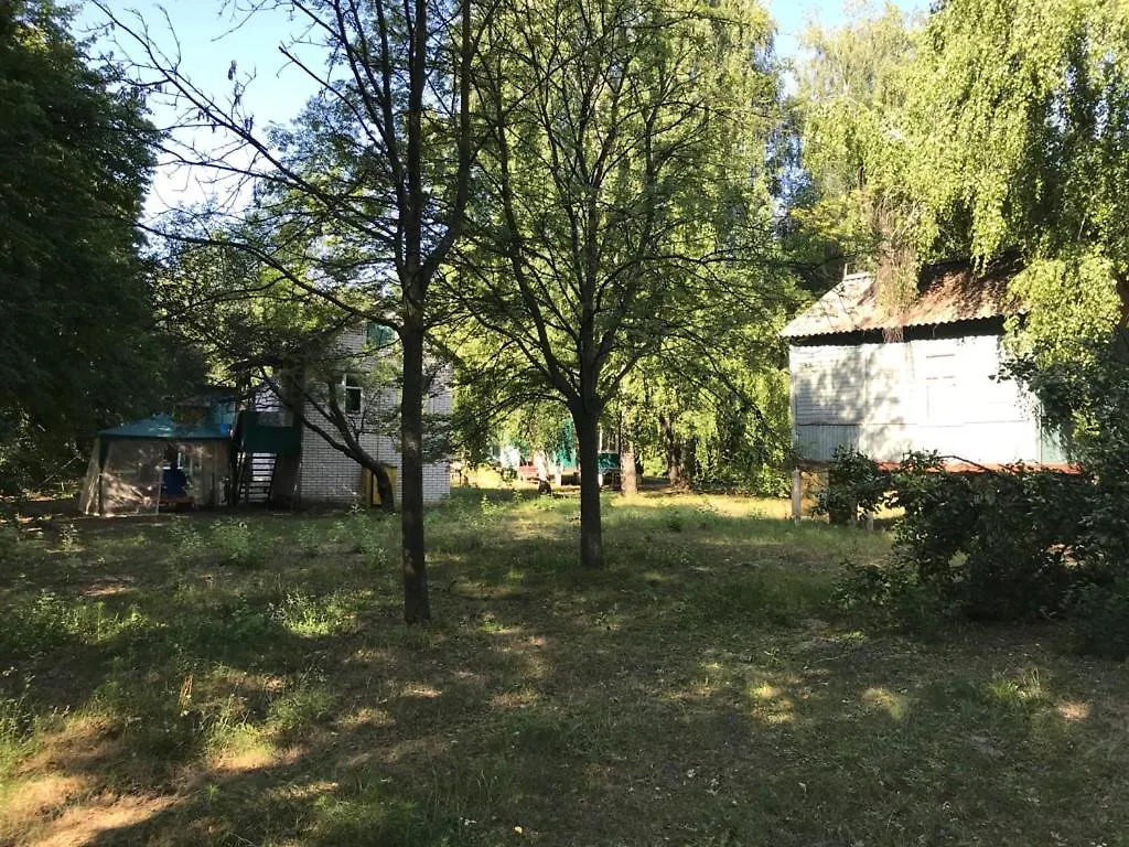Десёнка Ucrânia