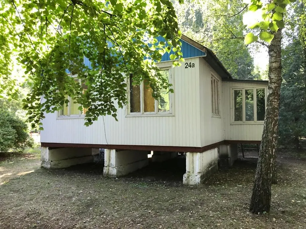 Десёнка Campsite
